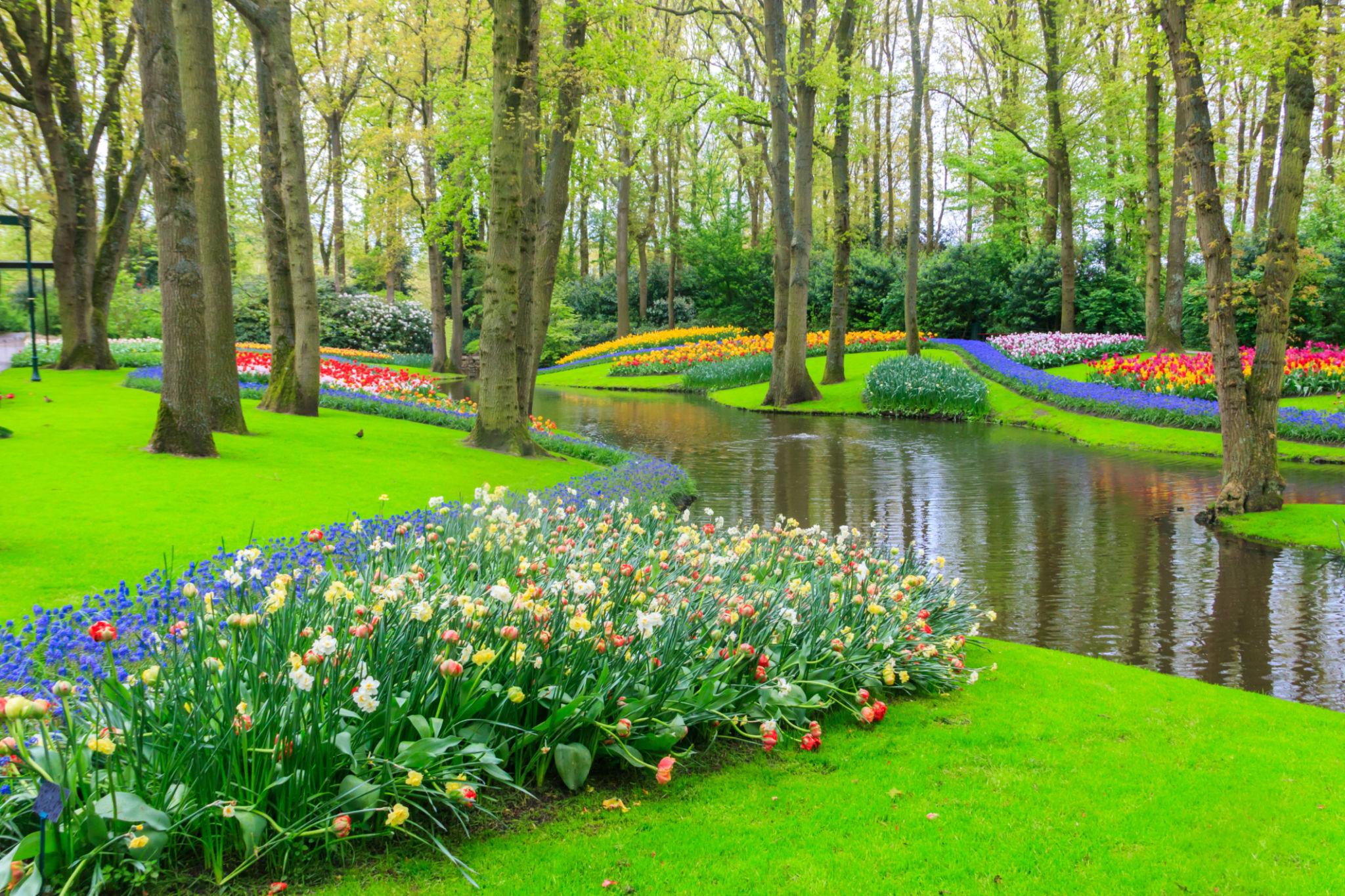 keukenhof.jfif