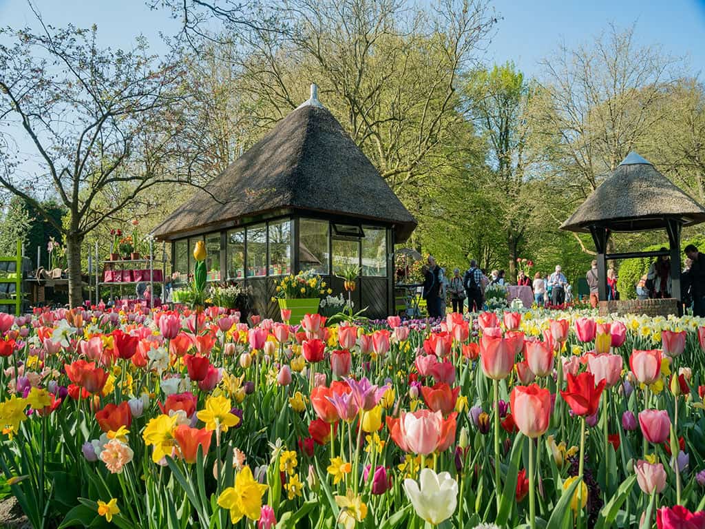 le-hoi-hoa-floriade-min.jpg